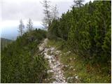 Planina Zajavornik - Viševnik